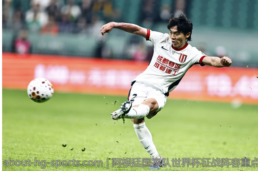 阿根廷国家队世界杯征战阵容重点人物